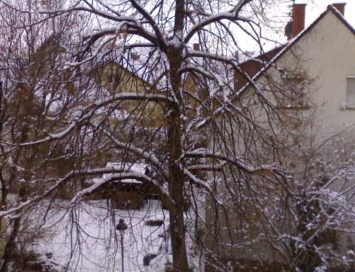 Auguri per un felice 2021